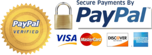 secure transaction paypal